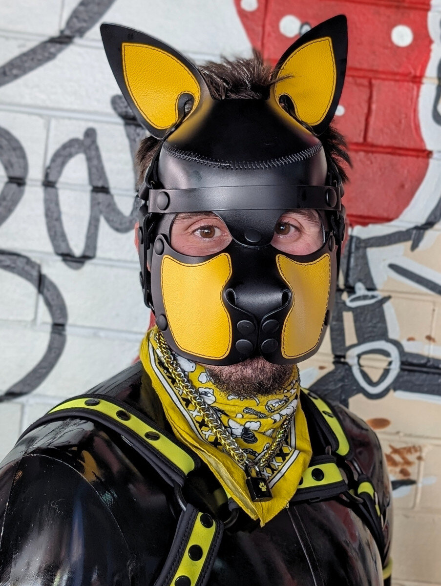 Achilliespup (@achillies_pup), OnlyFans creator