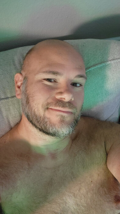 Bearbob