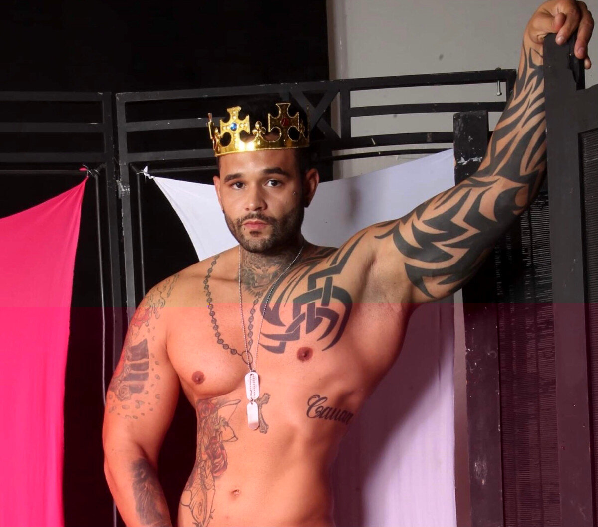 Braziliangladiator (@braziliangladiator), OnlyFans creator