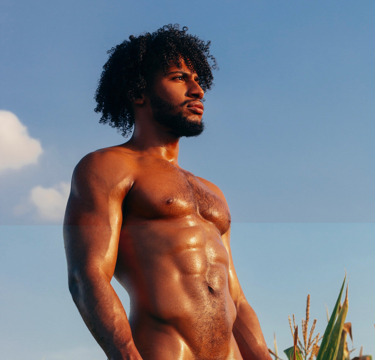 Dixtosexi (@dixtosexi), OnlyFans creator