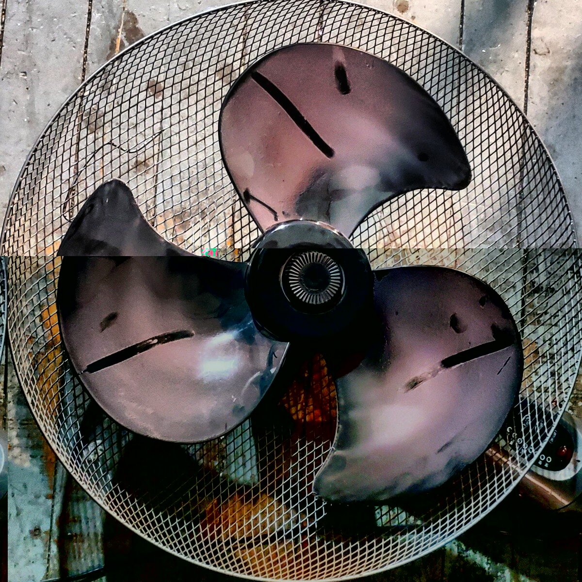 Fans4daze (@fans4daze), OnlyFans creator