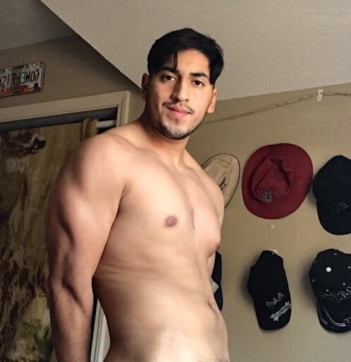 Hungnextdoorbull