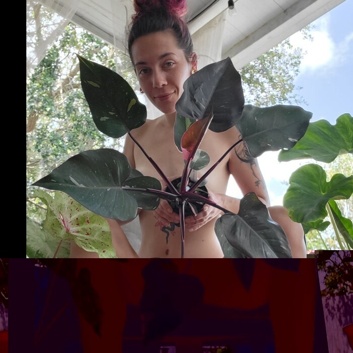 Itsyournakedneighbor (@itsyournakedneighbor), OnlyFans creator