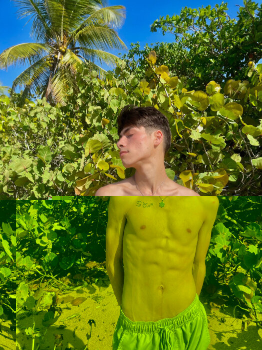 Jaredhirota (@jaredhirota), OnlyFans creator
