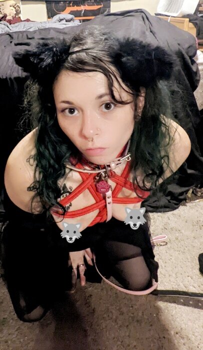 Jazzy (@jazzy.wolf), OnlyFans creator