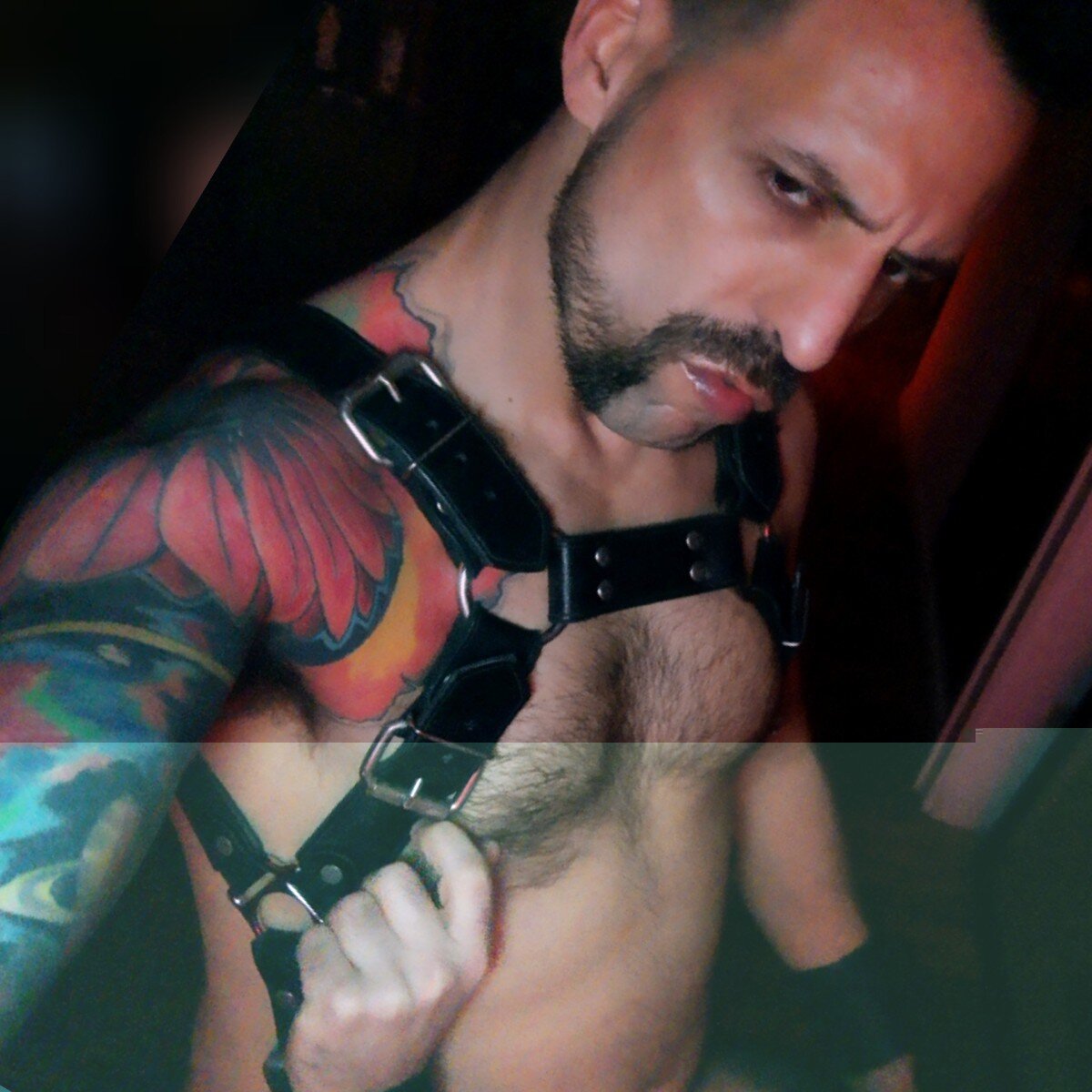 Jorisvip (@jorisvip), OnlyFans creator