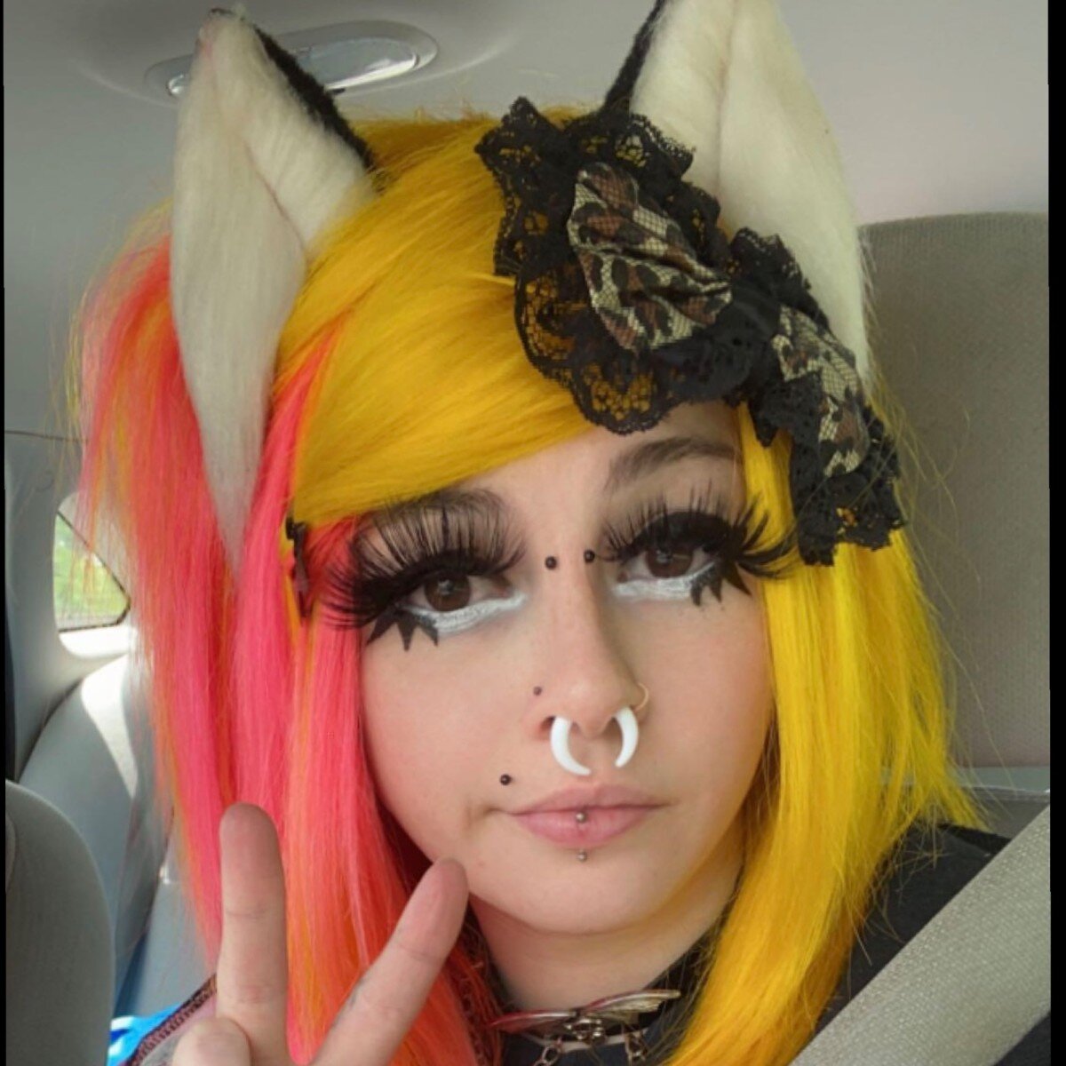 Meowlex (@meowlex), OnlyFans creator