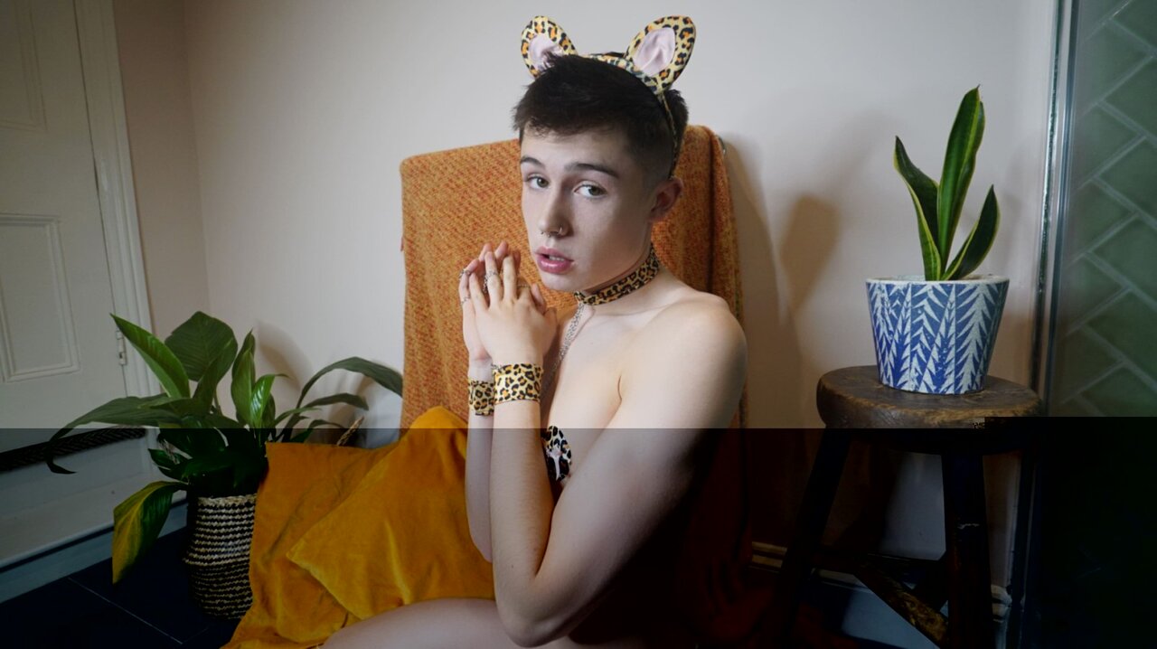 Notashyboifree (@notashyboifree), OnlyFans creator