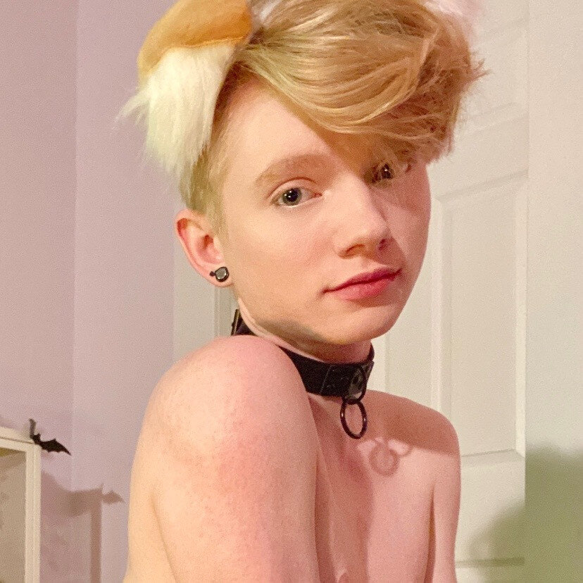 Pawprintprince (@pawprintprince), OnlyFans creator
