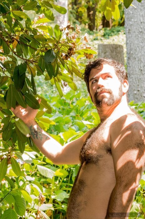 Princehairydan (@princehairydan), OnlyFans creator
