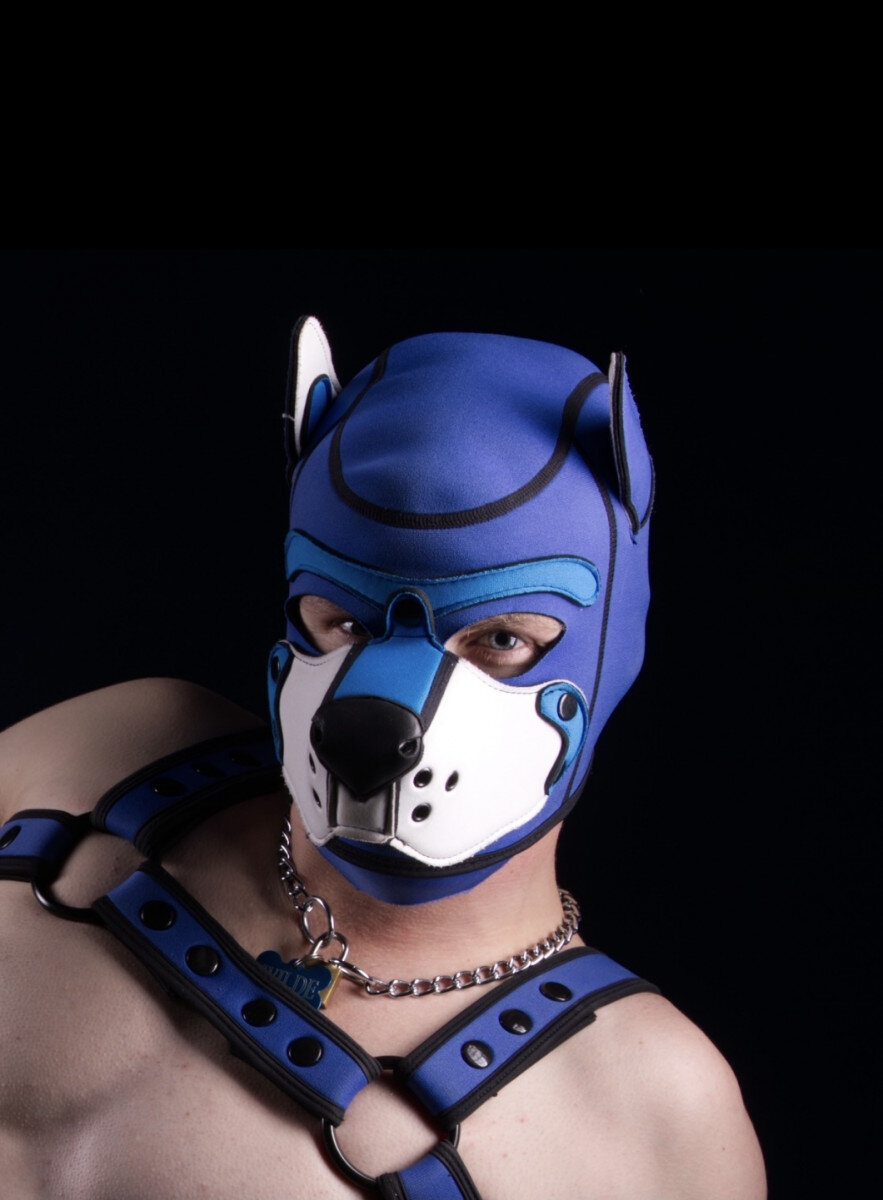 Pupwilde (@pupwilde), OnlyFans creator