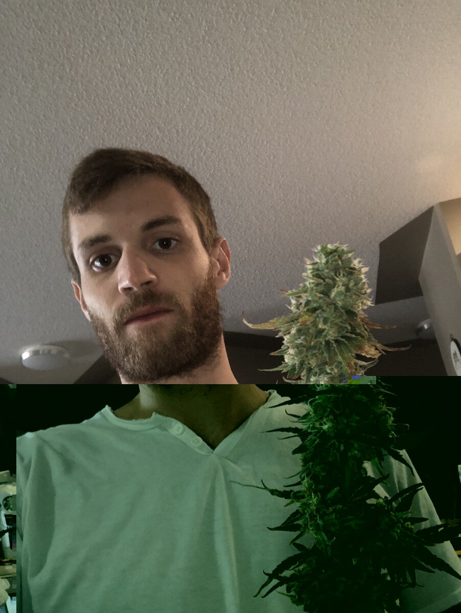 Rollinintheweeds (@rollinintheweeds), OnlyFans creator