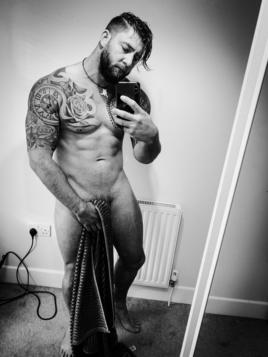 Vikingharrison