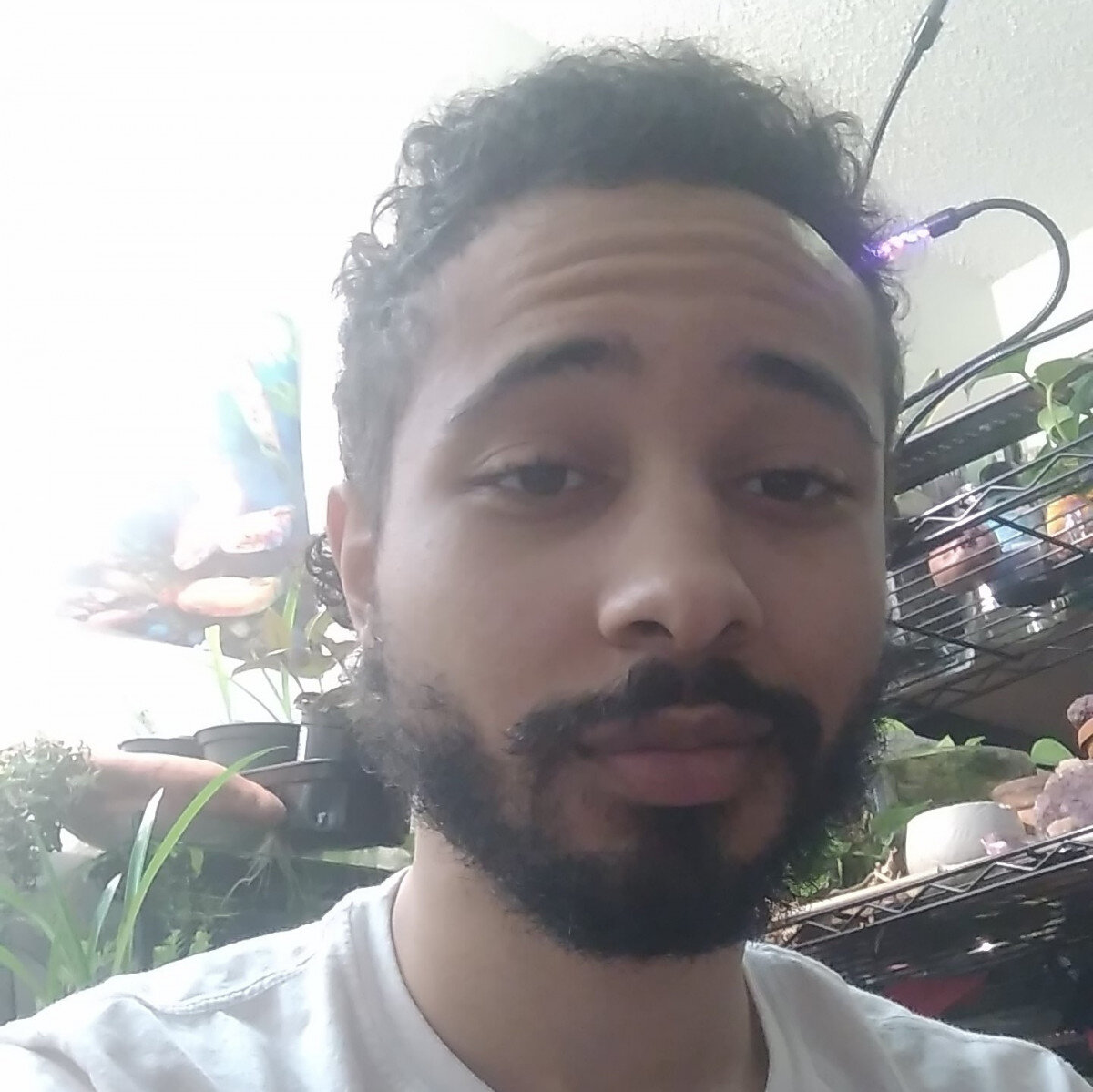 Whoheemis (@whoheemis), OnlyFans creator